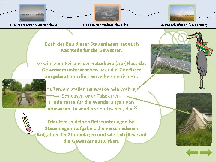 Die Wasserrahmenrichtlinie Das Einzugsgebiet der Elbe Doch der Bau dieser Stauanlagen hat auch Nachteile