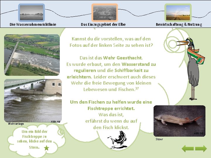 Die Wasserrahmenrichtlinie Das Einzugsgebiet der Elbe Bewirtschaftung & Nutzung Kannst du dir vorstellen, was