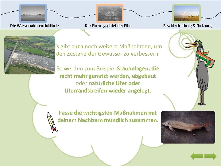Die Wasserrahmenrichtlinie Das Einzugsgebiet der Elbe Bewirtschaftung & Nutzung Es gibt auch noch weitere