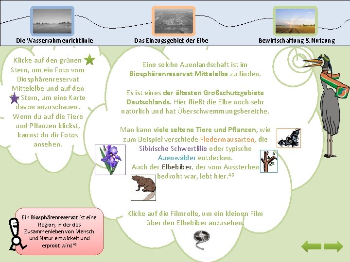 Die Wasserrahmenrichtlinie Klicke auf den grünen Stern, um ein Foto vom Biosphärenreservat Mittelelbe und