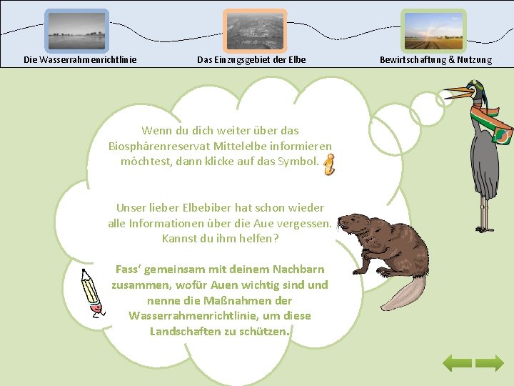 Die Wasserrahmenrichtlinie Das Einzugsgebiet der Elbe Wenn du dich weiter über das Biosphärenreservat Mittelelbe