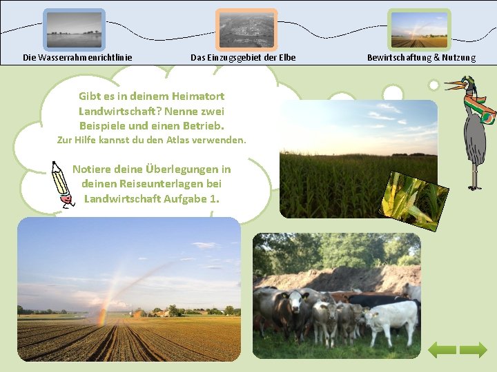 Die Wasserrahmenrichtlinie Das Einzugsgebiet der Elbe Gibt es in deinem Heimatort Landwirtschaft? Nenne zwei