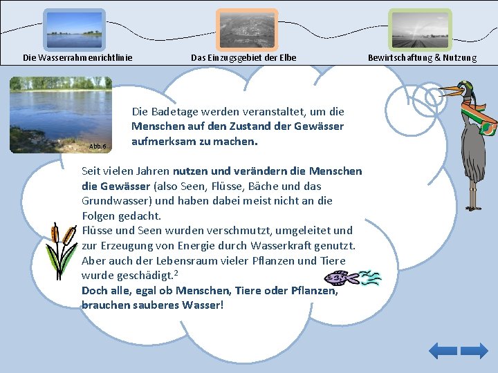 Die Wasserrahmenrichtlinie Abb. 6 Das Einzugsgebiet der Elbe Die Badetage werden veranstaltet, um die