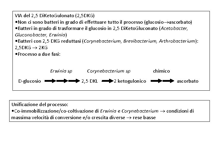 VIA del 2, 5 Di. Keto. Gulonato (2, 5 DKG) • Non ci sono