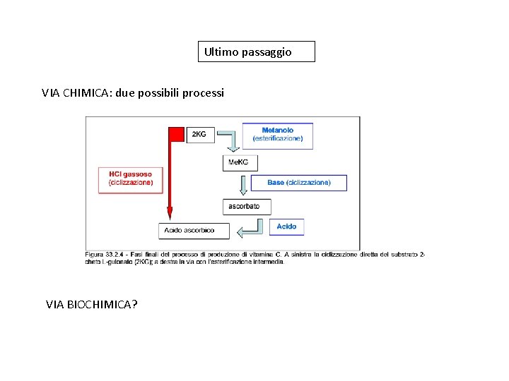 Ultimo passaggio VIA CHIMICA: due possibili processi VIA BIOCHIMICA? 