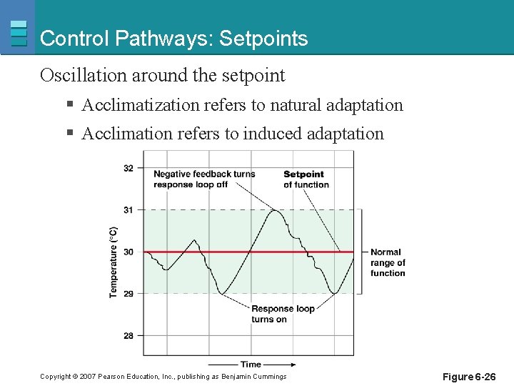 Control Pathways: Setpoints Oscillation around the setpoint § Acclimatization refers to natural adaptation §