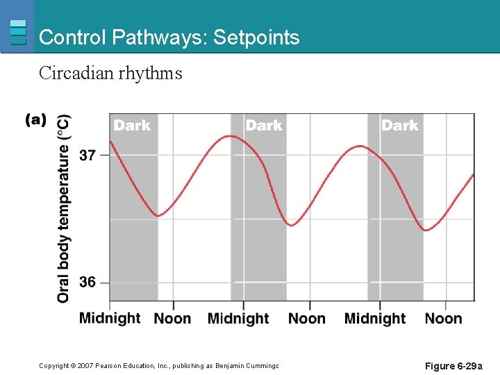 Control Pathways: Setpoints Circadian rhythms Copyright © 2007 Pearson Education, Inc. , publishing as