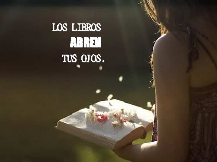 LOS LIBROS ABREN TUS OJOS. 