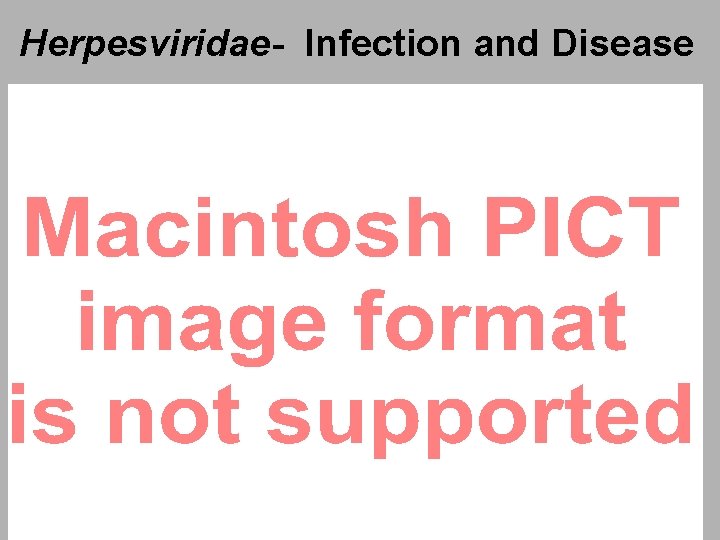 Herpesviridae- Infection and Disease 