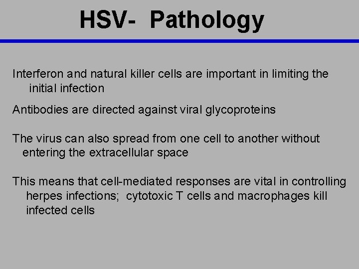 HSV- Pathology Interferon and natural killer cells are important in limiting the initial infection