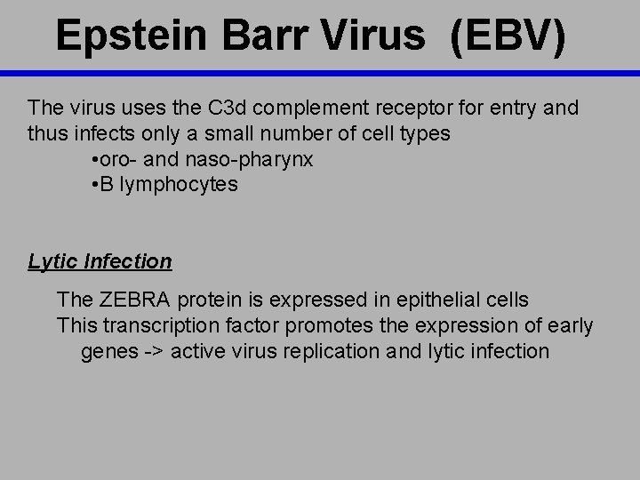 Epstein Barr Virus (EBV) The virus uses the C 3 d complement receptor for