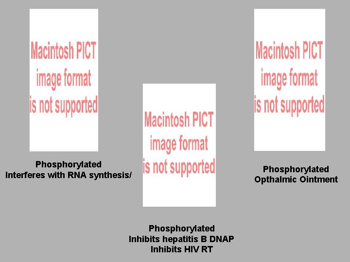 Phosphorylated Interferes with RNA synthesis/ Phosphorylated Inhibits hepatitis B DNAP Inhibits HIV RT Phosphorylated