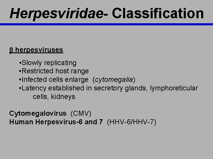 Herpesviridae- Classification b herpesviruses • Slowly replicating • Restricted host range • Infected cells