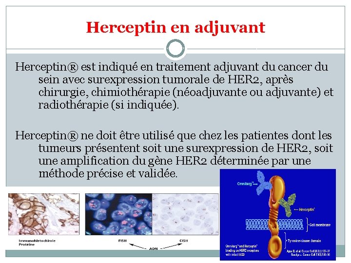 Herceptin en adjuvant Herceptin® est indiqué en traitement adjuvant du cancer du sein avec