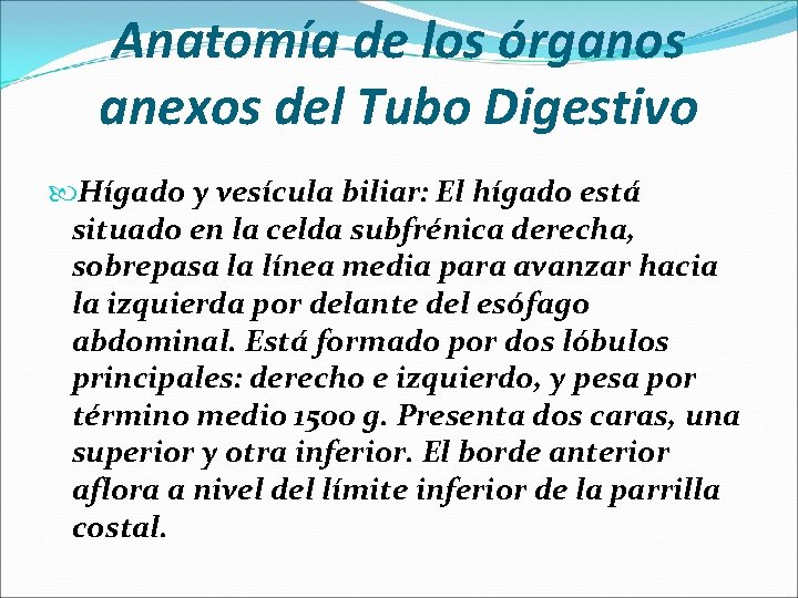 Anatomía de los órganos anexos del Tubo Digestivo Hígado y vesícula biliar: El hígado