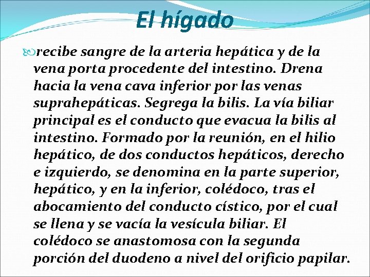 El hígado recibe sangre de la arteria hepática y de la vena porta procedente