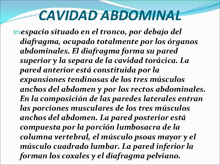 CAVIDAD ABDOMINAL espacio situado en el tronco, por debajo del diafragma, ocupado totalmente por