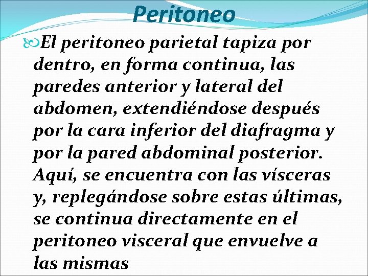 Peritoneo El peritoneo parietal tapiza por dentro, en forma continua, las paredes anterior y