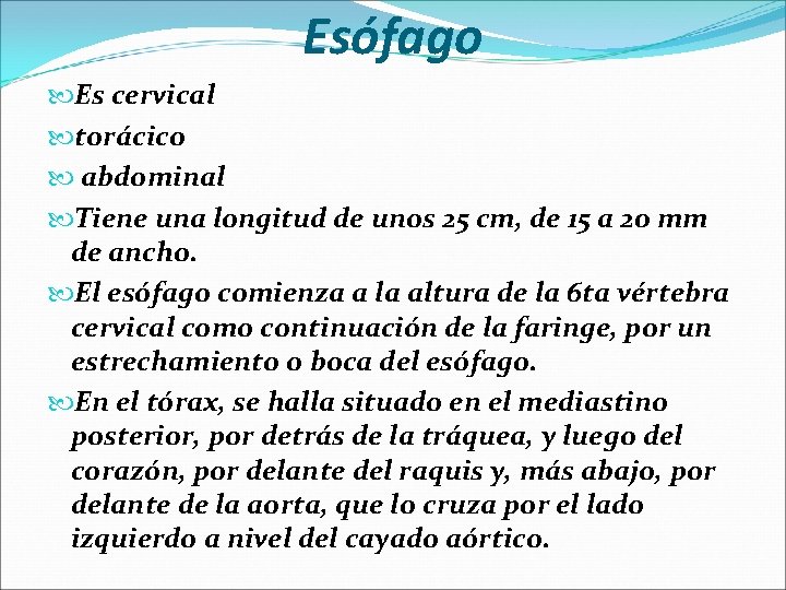 Esófago Es cervical torácico abdominal Tiene una longitud de unos 25 cm, de 15