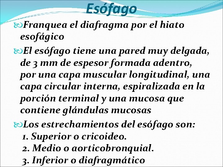 Esófago Franquea el diafragma por el hiato esofágico El esófago tiene una pared muy