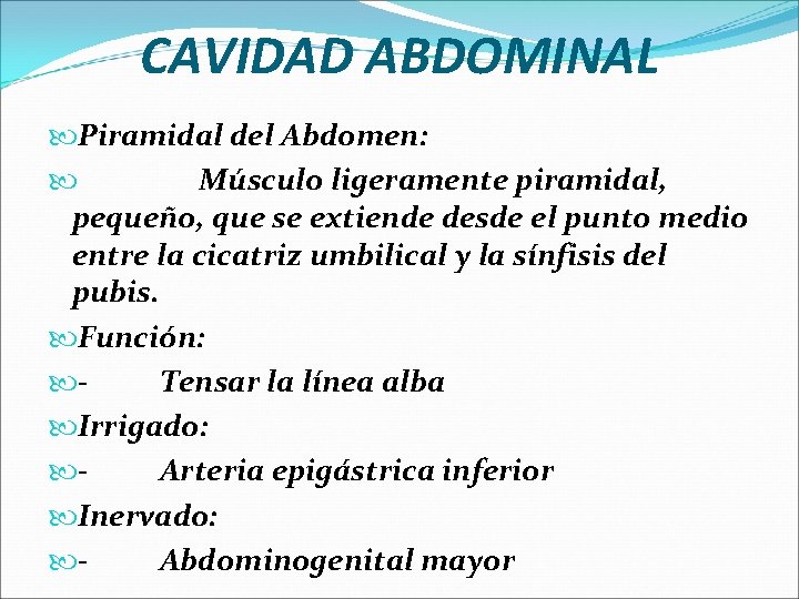 CAVIDAD ABDOMINAL Piramidal del Abdomen: Músculo ligeramente piramidal, pequeño, que se extiende desde el