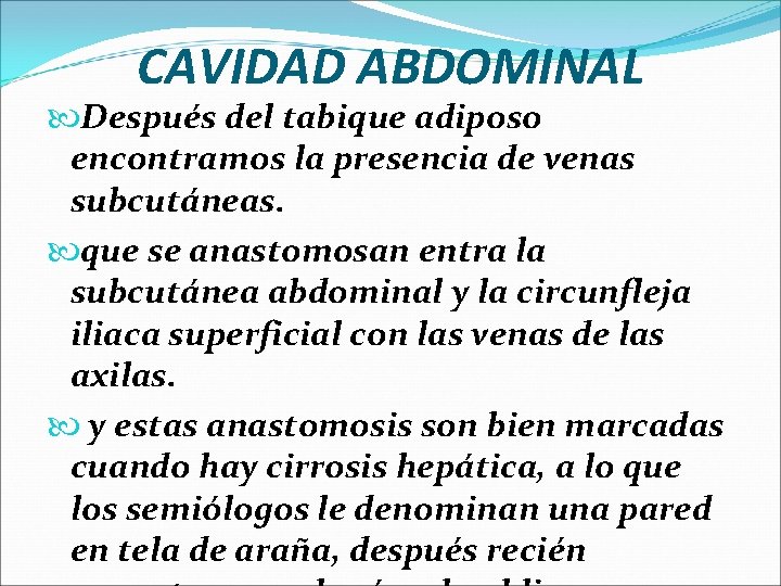 CAVIDAD ABDOMINAL Después del tabique adiposo encontramos la presencia de venas subcutáneas. que se