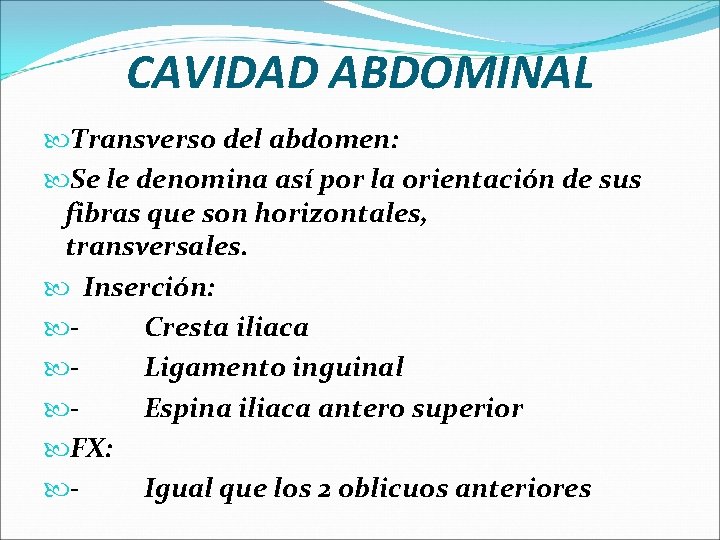 CAVIDAD ABDOMINAL Transverso del abdomen: Se le denomina así por la orientación de sus