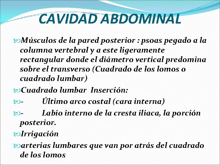CAVIDAD ABDOMINAL Músculos de la pared posterior : psoas pegado a la columna vertebral