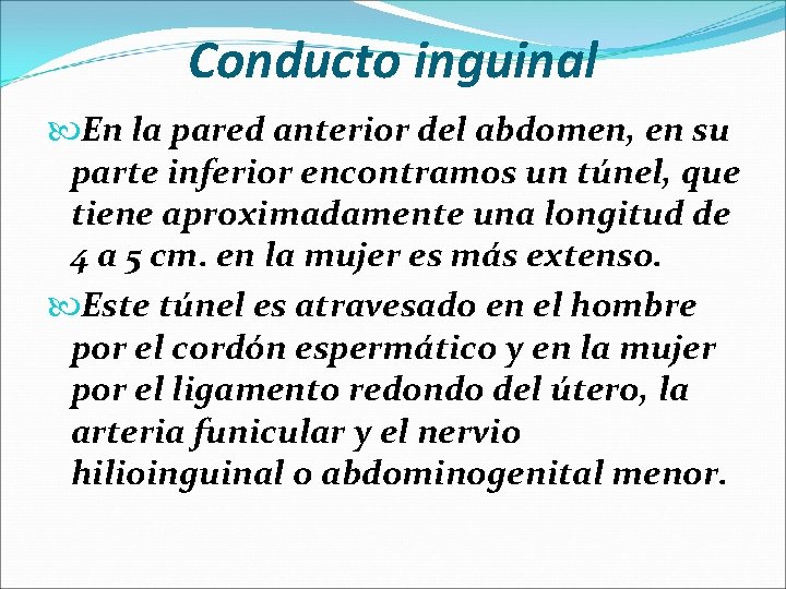 Conducto inguinal En la pared anterior del abdomen, en su parte inferior encontramos un