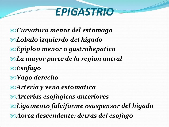 EPIGASTRIO Curvatura menor del estomago Lobulo izquierdo del higado Epiplon menor o gastrohepatico La