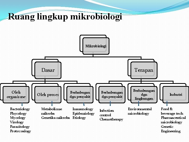 Ruang lingkup mikrobiologi Mikrobiologi Dasar Oleh organisme Bacteriology Phycology Mycology Virology Parasitology Protozoalogy Oleh