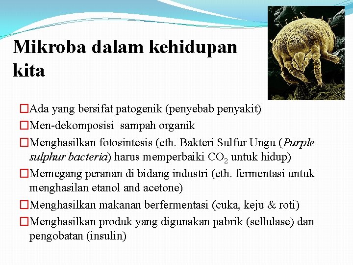 Mikroba dalam kehidupan kita �Ada yang bersifat patogenik (penyebab penyakit) �Men-dekomposisi sampah organik �Menghasilkan