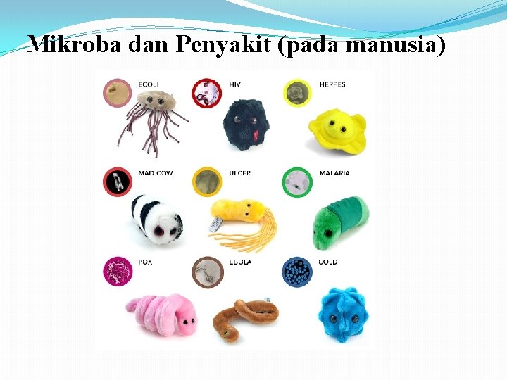 Mikroba dan Penyakit (pada manusia) 