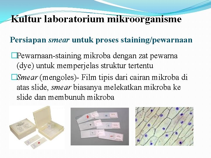 Kultur laboratorium mikroorganisme Persiapan smear untuk proses staining/pewarnaan �Pewarnaan-staining mikroba dengan zat pewarna (dye)