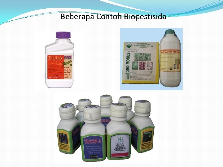 Beberapa Contoh Biopestisida 