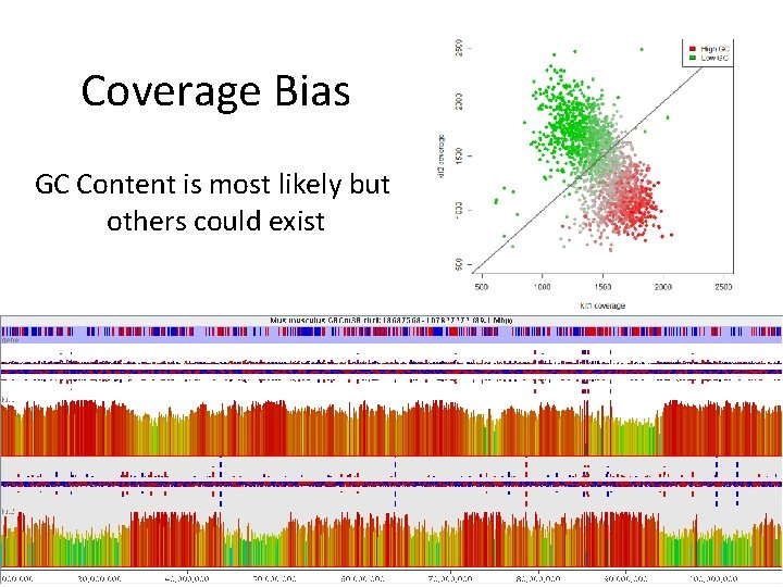 Coverage Bias GC Content is most likely but others could exist 