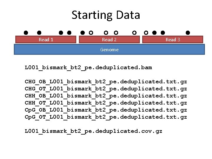 Starting Data Read 1 Read 2 Read 3 Genome L 001_bismark_bt 2_pe. deduplicated. bam