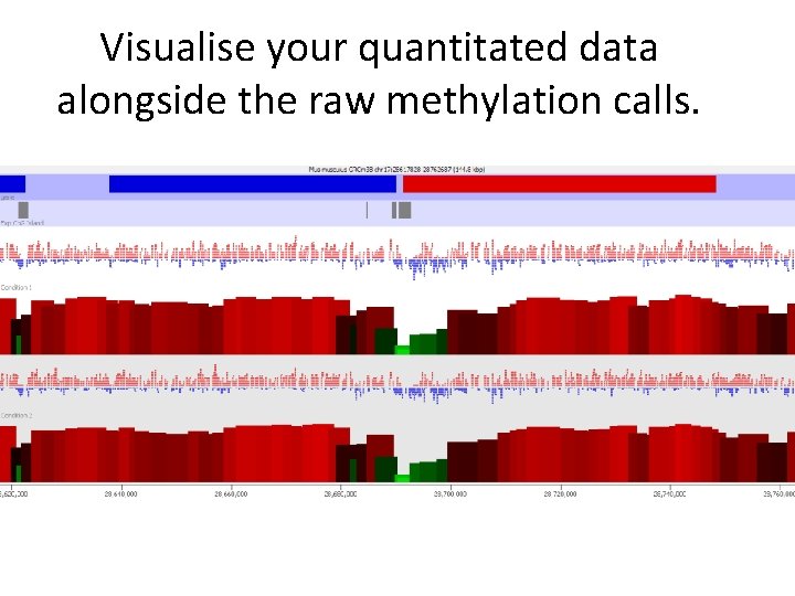 Visualise your quantitated data alongside the raw methylation calls. 