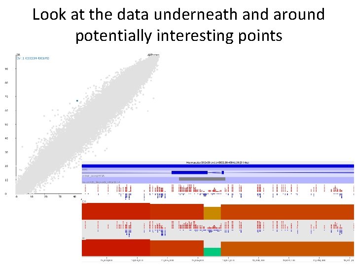 Look at the data underneath and around potentially interesting points 