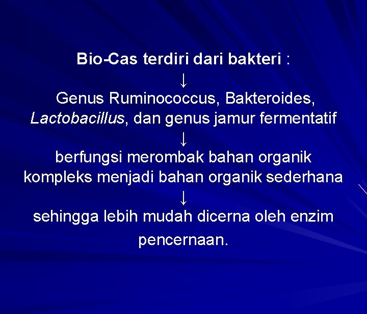 Bio-Cas terdiri dari bakteri : ↓ Genus Ruminococcus, Bakteroides, Lactobacillus, dan genus jamur fermentatif