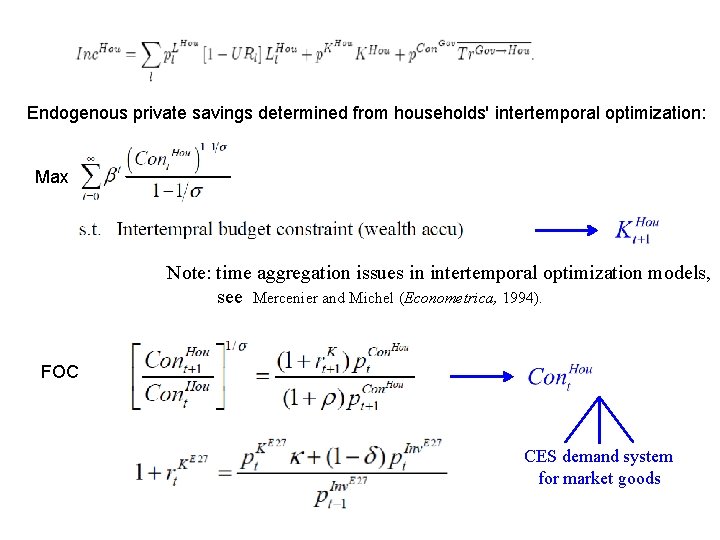 Endogenous private savings determined from households' intertemporal optimization: Max Note: time aggregation issues in