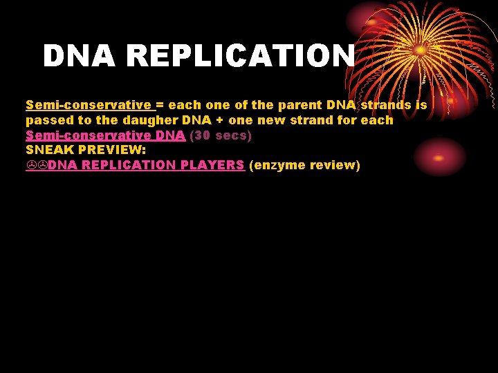 DNA REPLICATION Semi-conservative = each one of the parent DNA strands is passed to
