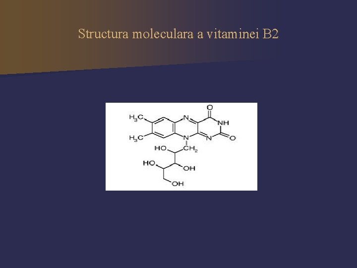 Structura moleculara a vitaminei B 2 