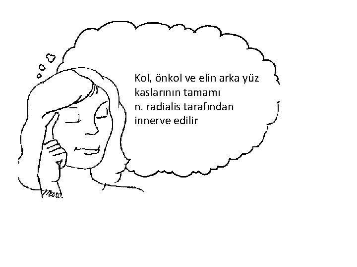 Kol, önkol ve elin arka yüz kaslarının tamamı n. radialis tarafından innerve edilir 