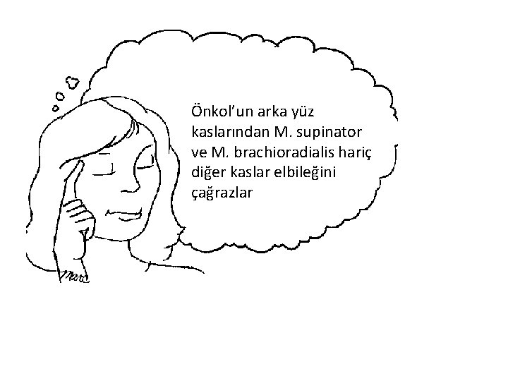 Önkol’un arka yüz kaslarından M. supinator ve M. brachioradialis hariç diğer kaslar elbileğini çağrazlar