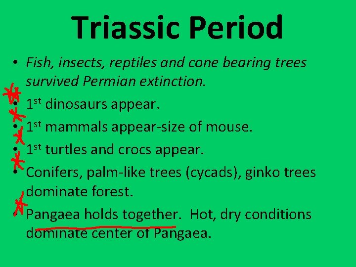 Triassic Period • Fish, insects, reptiles and cone bearing trees survived Permian extinction. •