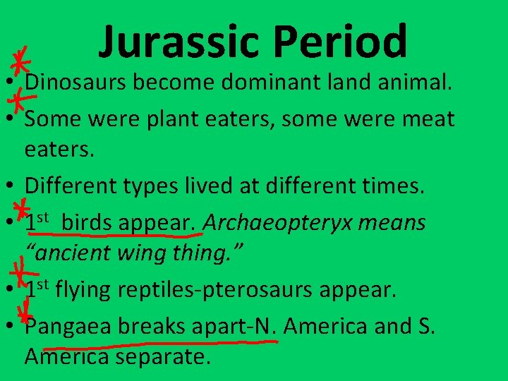 Jurassic Period • Dinosaurs become dominant land animal. • Some were plant eaters, some