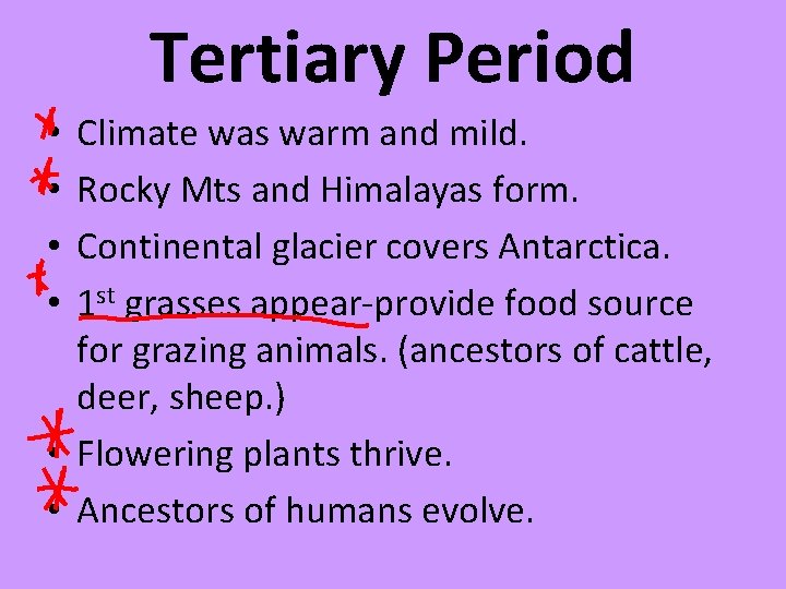 Tertiary Period Climate was warm and mild. Rocky Mts and Himalayas form. Continental glacier
