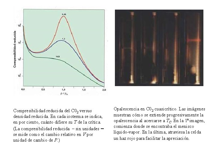 Compresibilidad reducida del C 02 versus densidad reducida. En cada isoterma se indica, en