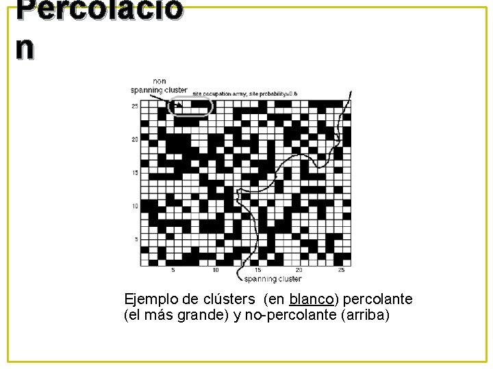 Percolació n Ejemplo de clústers (en blanco) percolante (el más grande) y no-percolante (arriba)